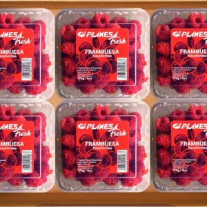 Family Pack Frambuesa 12 unid 6 oz