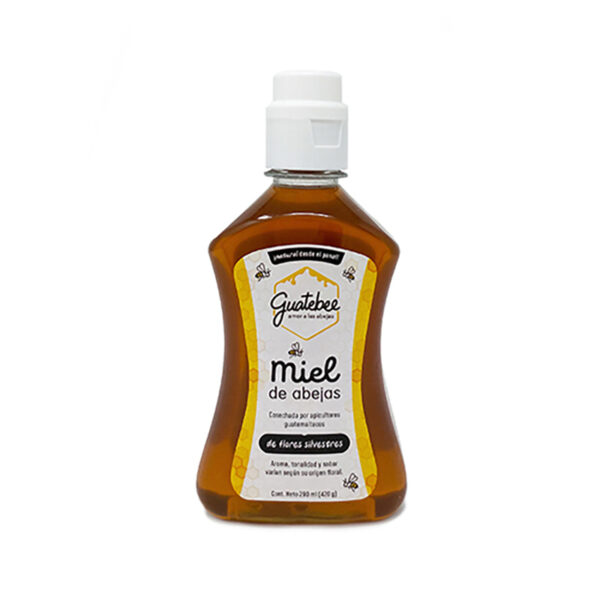 Guatebee, Miel de Abejas Liquida 420 g