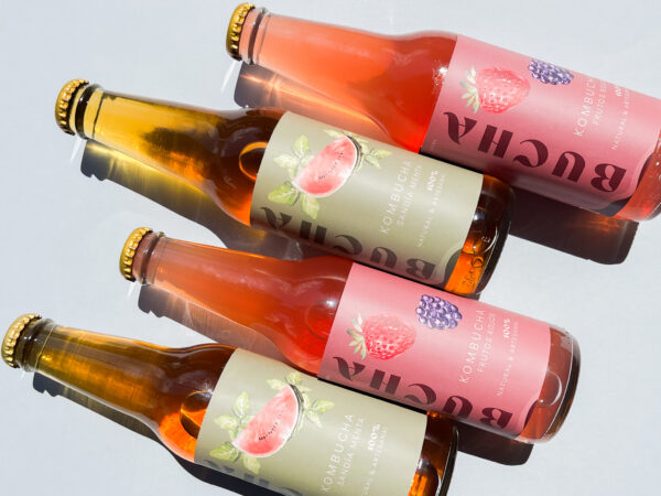 Bucha, Kombucha Sabores- Pack de 4 un.