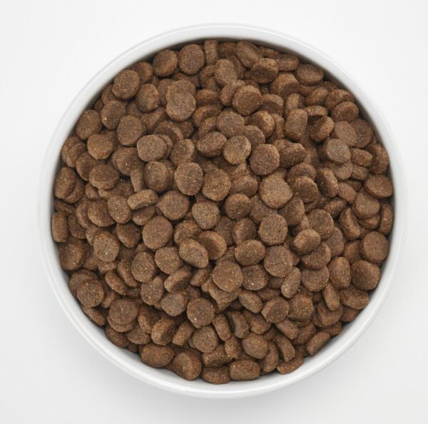 Members Selection Comida para Perro Formula de Salmón y Arroz - Imagen 3